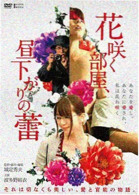 日本美女电影 黄昏清兵卫 经典佳作