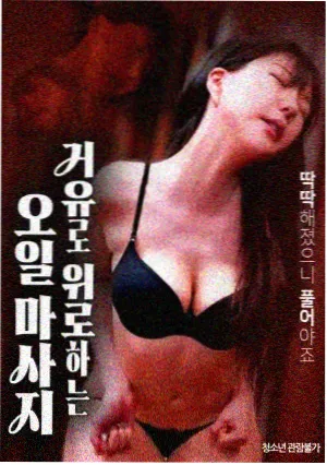 日本美女电影 镰仓日记